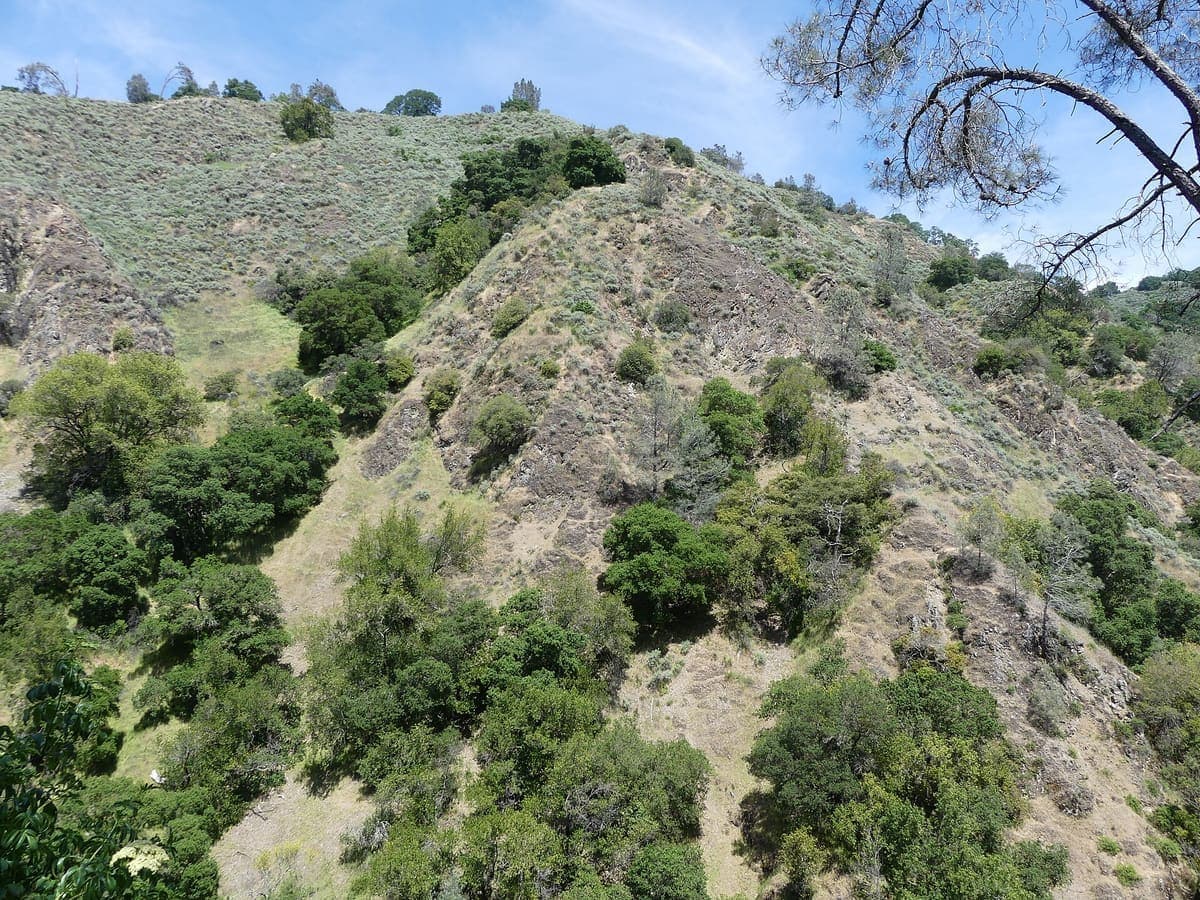 Alum Rock Park
