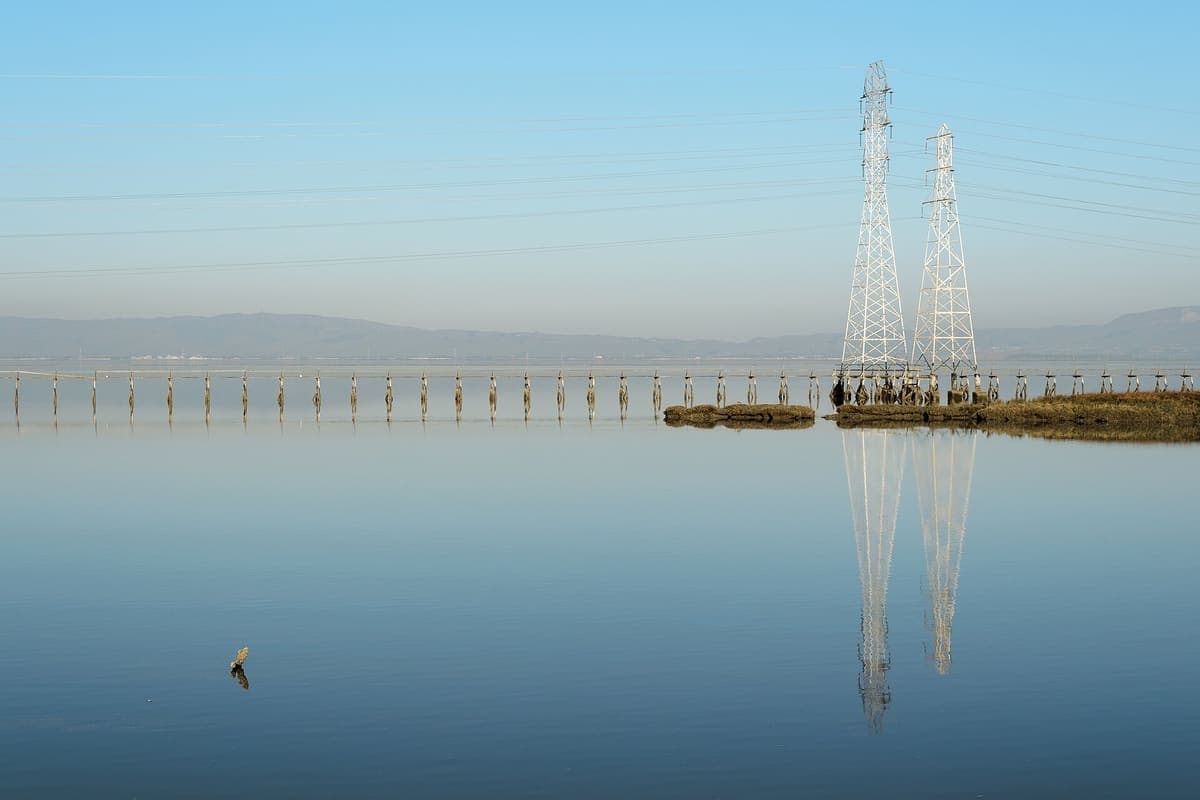 Palo Alto Baylands 湿地保护区