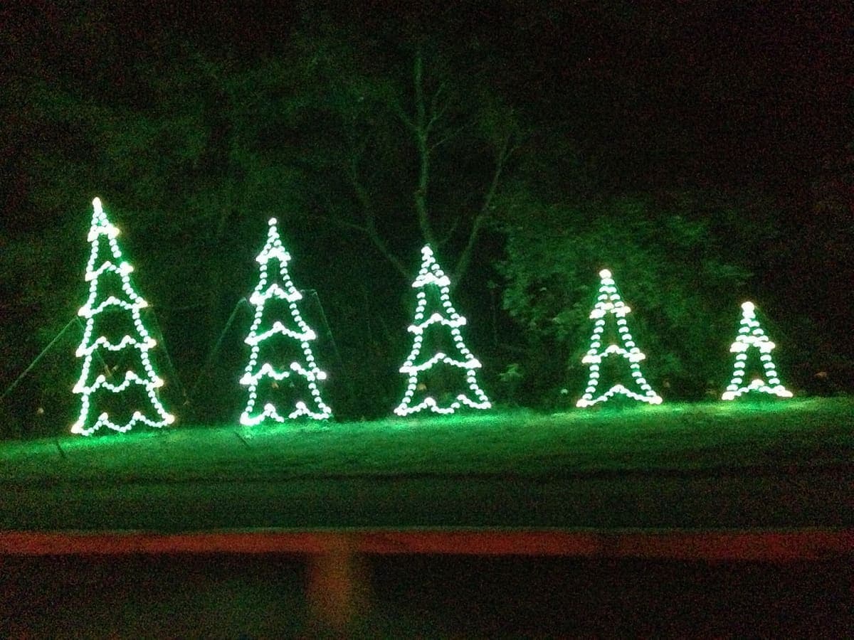 Fantasy of Lights(Vasona Lake)