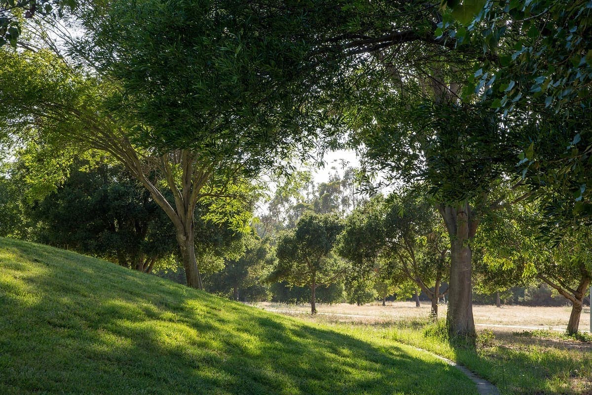 Sunnyvale Baylands Park