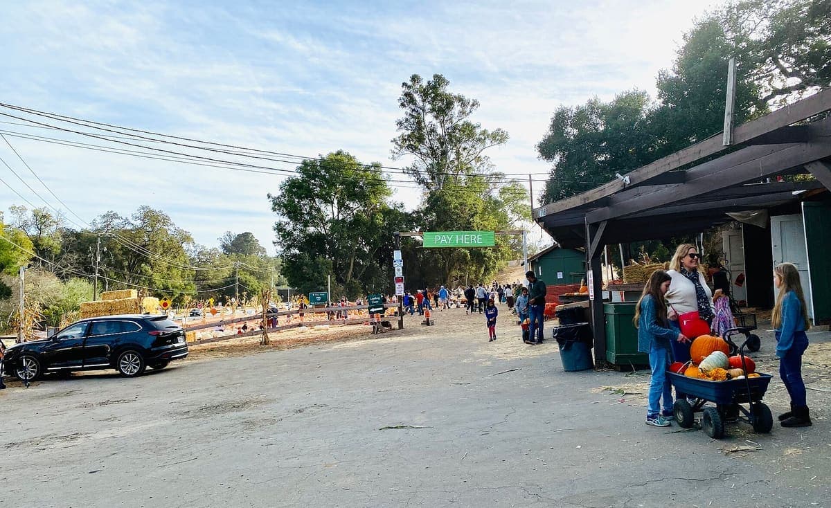 Webb Ranch 南瓜地 & 农场摊